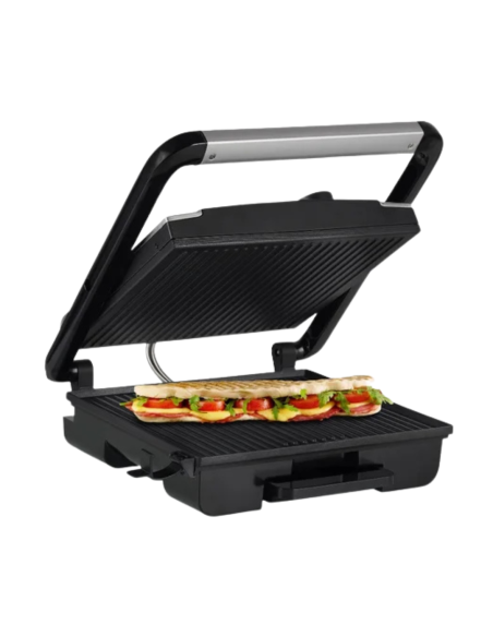 Princess 112425 Parrilla Multifunción, Superficie de 30 x 27 cm