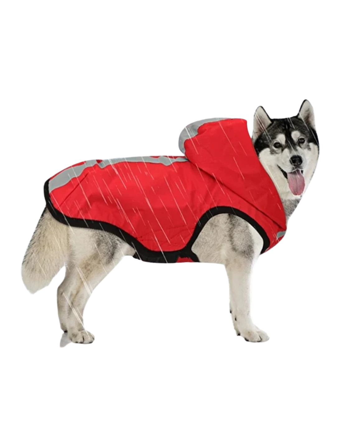 INDEPET CHAQUETA IMPERMEABLE Y REFLECTANTE 2 EN 1.