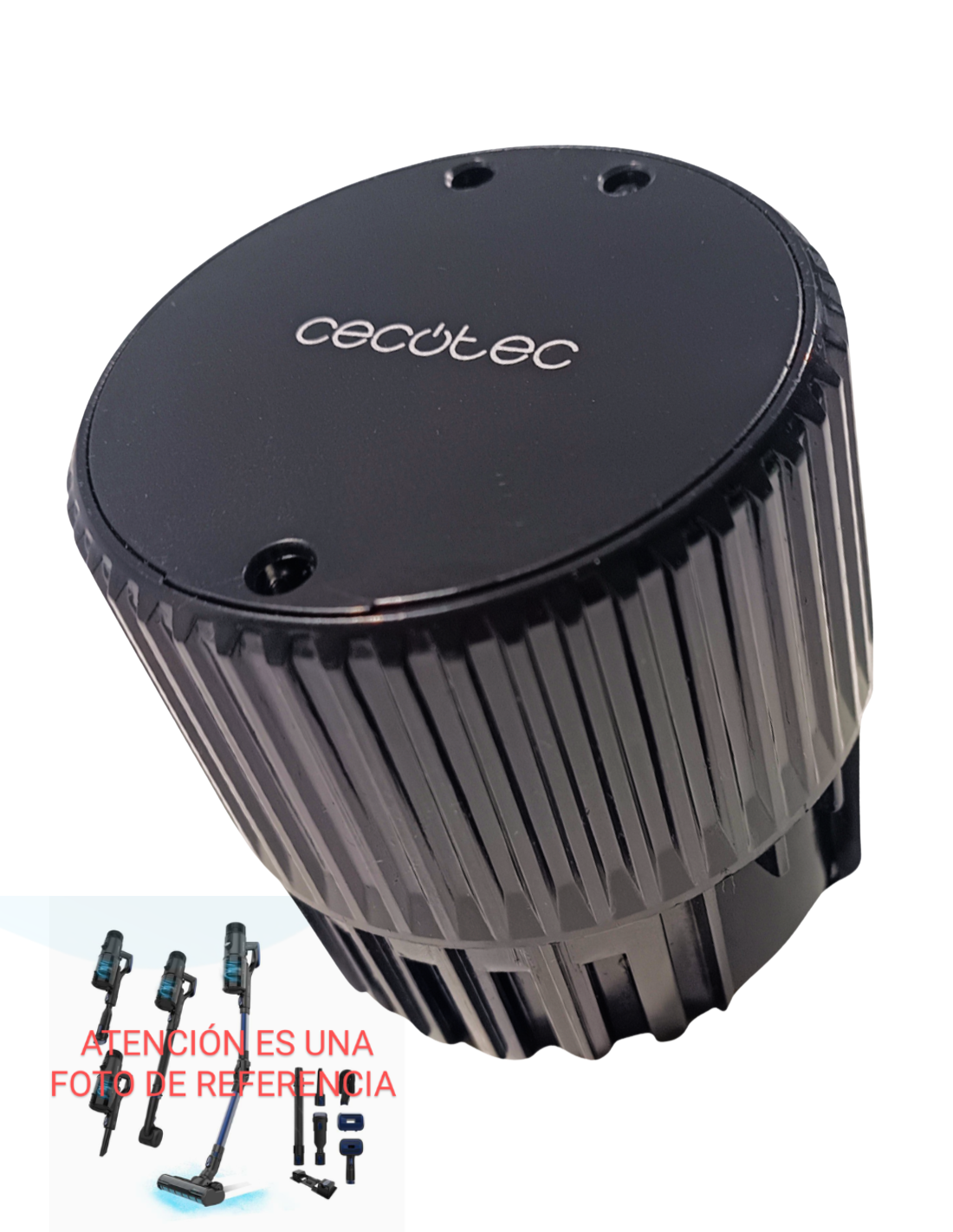 Batería Conga Rockstar 6500 Century Ergowet/ Ergowet Animal