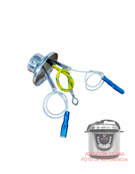 Sonda Térmica Olla Programable GM Modelo D 6 Litros Modelo: 02003